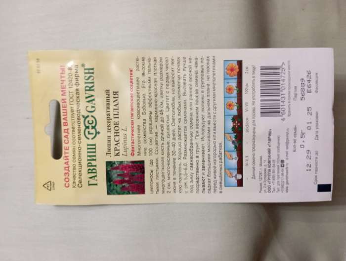 Фотография покупателя товара Семена цветов Люпин "Красное пламя", ц/п,  0,5 г - Фото 2