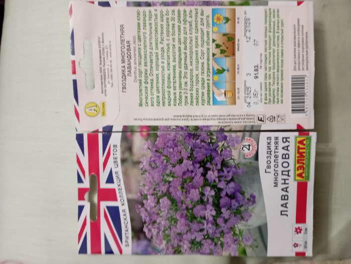 Фотография покупателя товара Семена цветов Гвоздика многолетняя лавандовая, 0,05 г - Фото 1