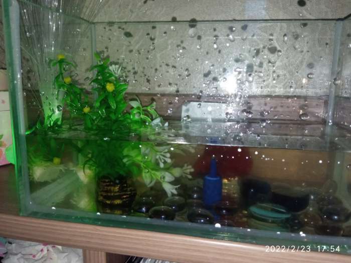 Фотография покупателя товара Растение искусственное аквариумное, до 11,5 см - Фото 2