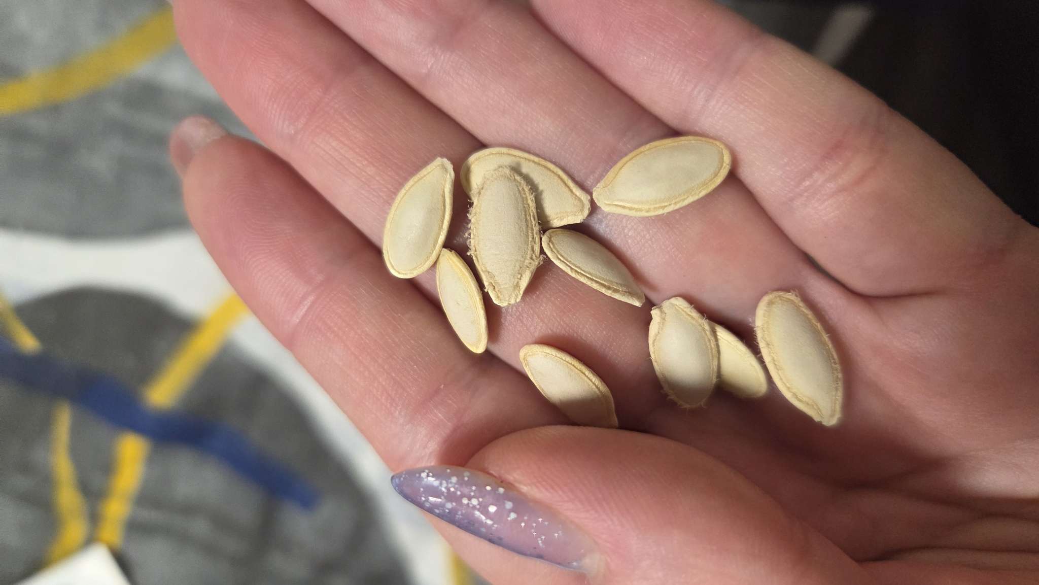 Фотография покупателя товара Семена Кабачок «Колобок», 10 шт., «Русский огород» - Фото 2