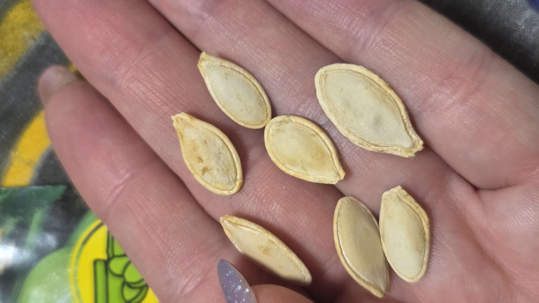 Фотография покупателя товара Семена Кабачок цукини «С кулачок», 1 г, «Семена Алтая» - Фото 4