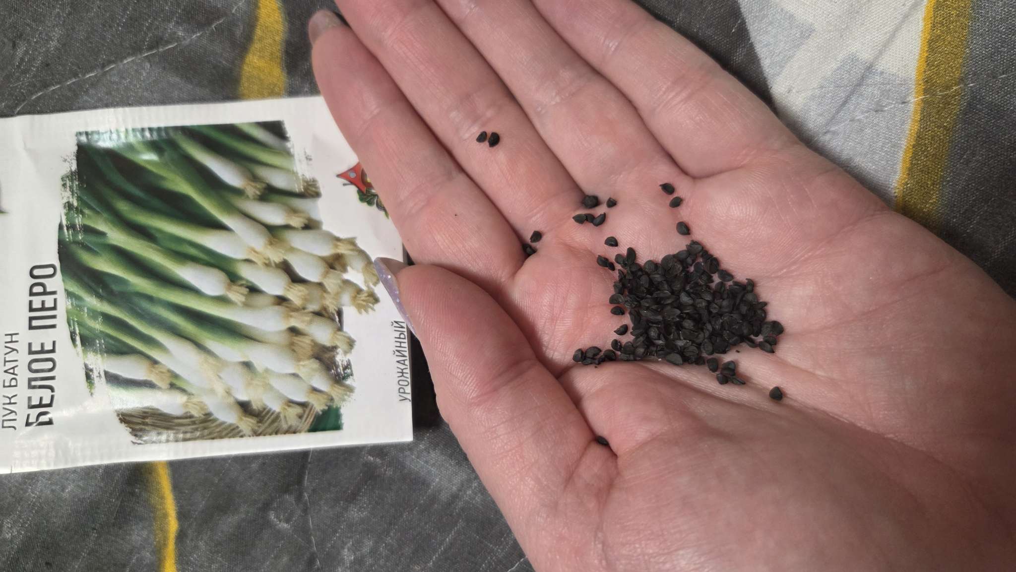 Фотография покупателя товара Семена Лук на зелень «Белое перо», 0.5 г, серия «ХИТ», «Гавриш» - Фото 3