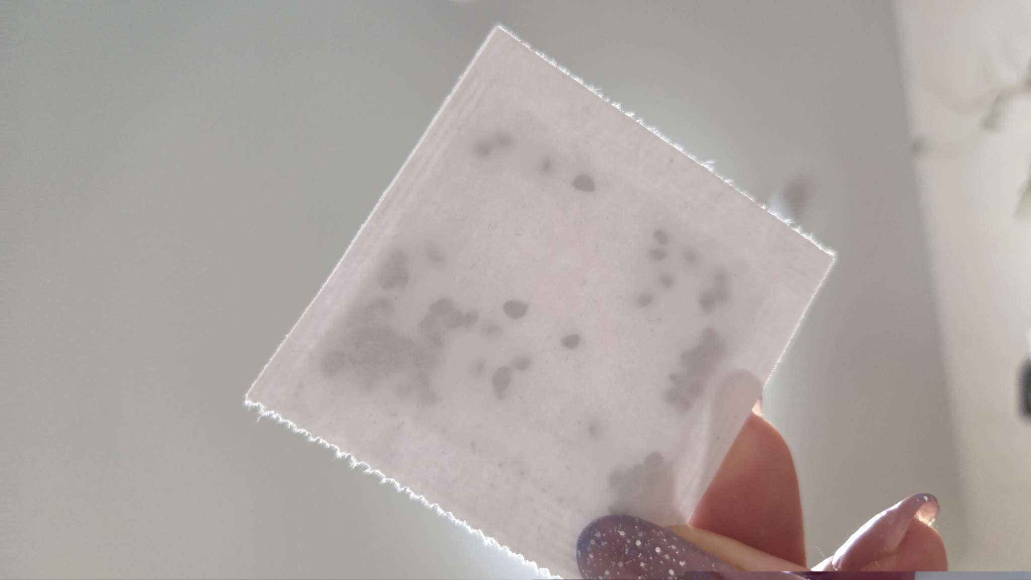 Фотография покупателя товара Семена Лук репчатый «Красный», 0.3 г, «Рецепты дедушки Никиты» - Фото 4