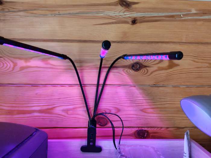 Фотография покупателя товара Фитосветильник для растений, светодиодный, 27 Вт, 250 мм, IP66, 5 В, USB, прищепка, таймер, биколорный - Фото 4