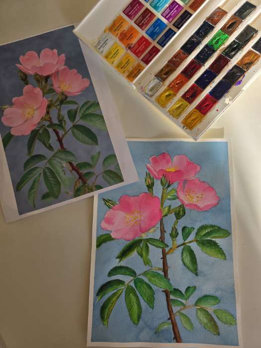 Фотография покупателя товара Акварель художественная в кюветах «ЗХК. Белые ночи», 24 цвета × 2.5 мл, пластиковая палитра - Фото 5