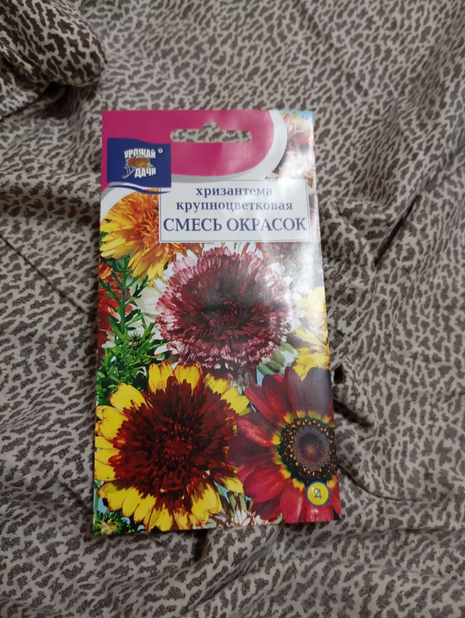 Фотография покупателя товара Семена Цветов Хризантема многолетняя «Смесь окрасок», крупноцветковая, 0.02 г, «Урожай удачи» - Фото 1