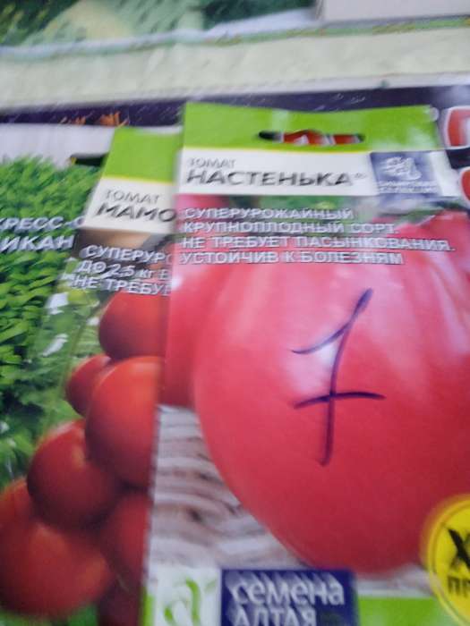 Фотография покупателя товара Семена Томат «Йетина Мать», детерминантный, низкорослый, 0.05 г, «Семена Алтая» - Фото 3