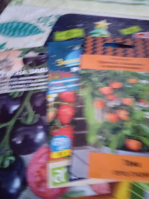 Фотография покупателя товара Семена Томат «Всем на зависть» F1, индетерминантный, высокорослый, 12 шт., «Уральский дачник» - Фото 33