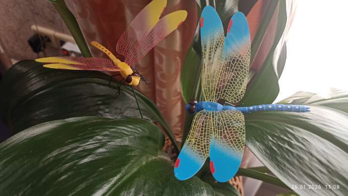 Фотография покупателя товара Штекер «Стрекоза Сенди», 14×9 см/45 см, набор 10 шт., МИКС - Фото 1