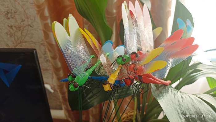 Фотография покупателя товара Штекер «Стрекоза Сенди», 14×9 см/45 см, набор 10 шт., МИКС - Фото 2