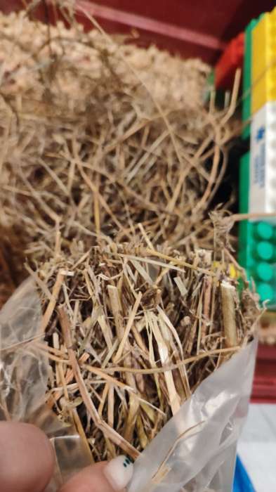 Фотография покупателя товара Сено луговое Clean Forest, 400 г - Фото 1