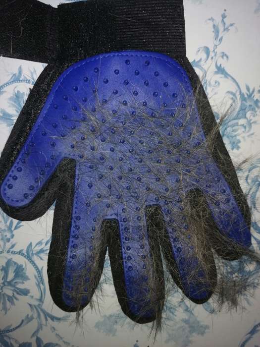 Фотография покупателя товара Перчатка - щетка для шерсти на правую руку с удлиненными зубчиками, синяя - Фото 15