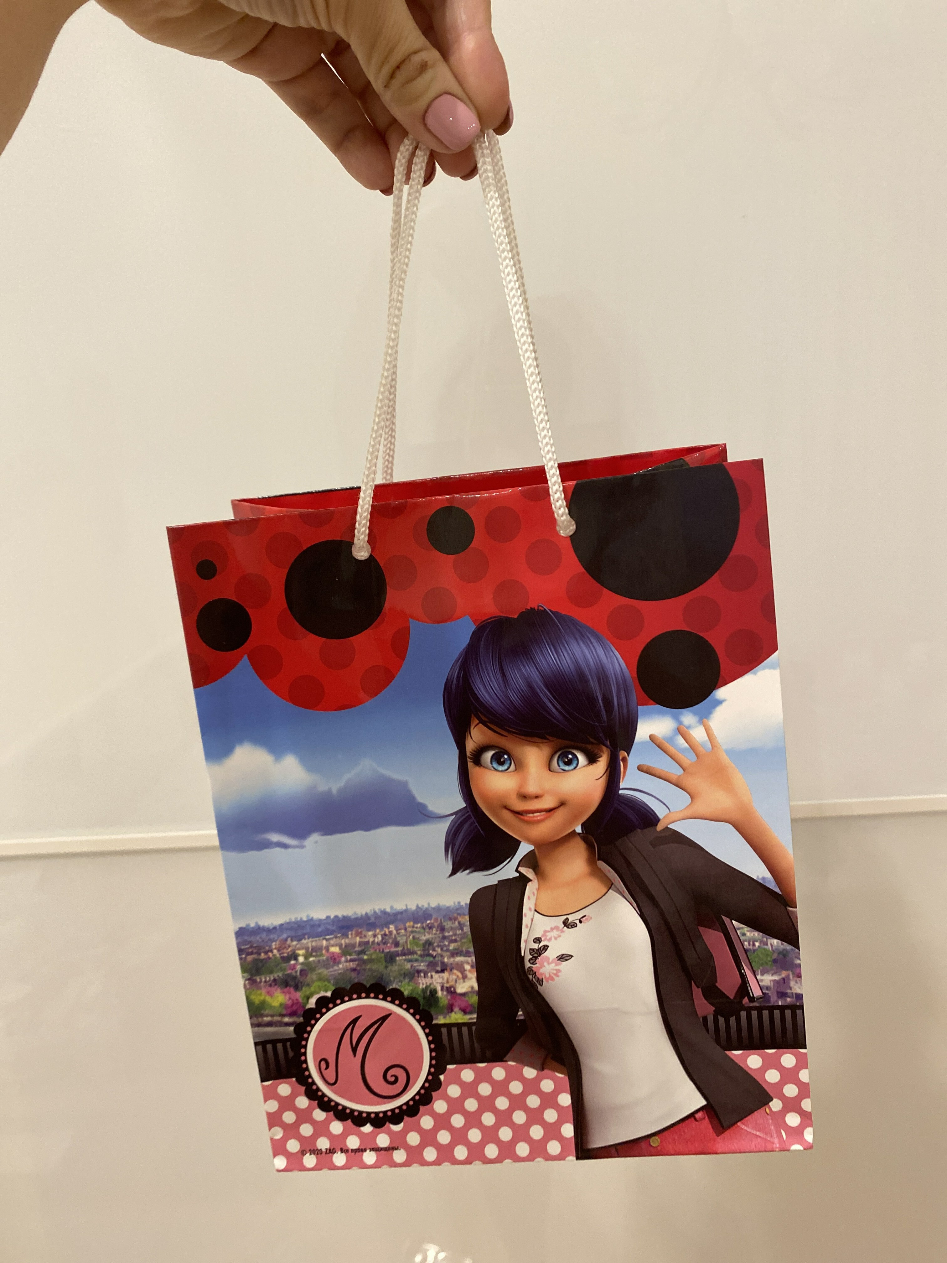 Фотография покупателя товара Пакет подарочный «Леди Баг и Супер-Кот. Маринет», 18 × 22,3 × 10 см - Фото 4