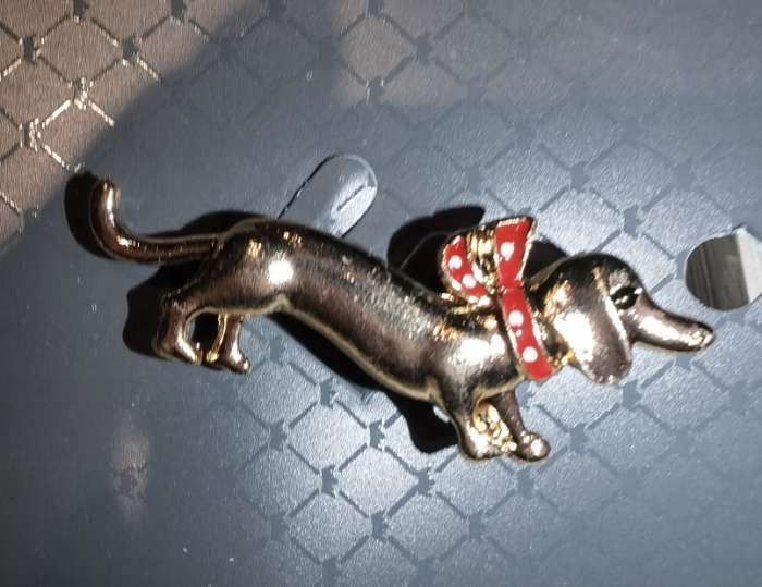 Фотография покупателя товара Брошь «Собака» такса с бантом, цвет красный в золоте - Фото 2