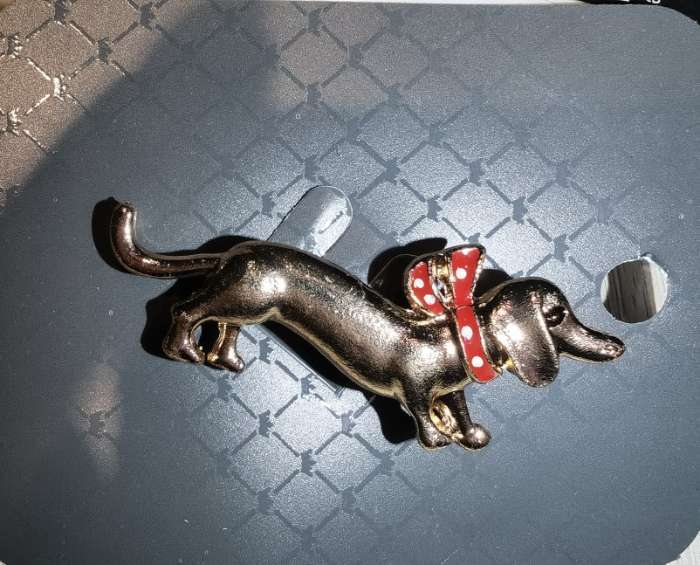 Фотография покупателя товара Брошь «Собака» такса с бантом, цвет красный в золоте - Фото 1