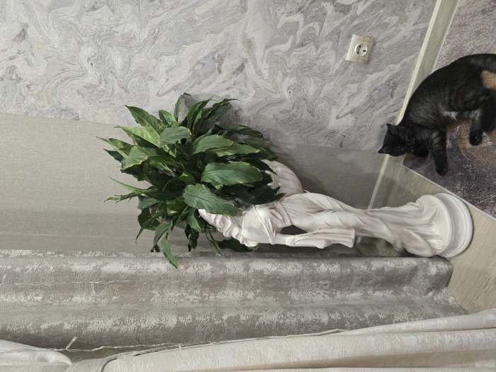 Фотография покупателя товара Фигура с кашпо «Девушка в платье», 40×30×88 см, 1.2 л, гипс, цвет бронзовый - Фото 1