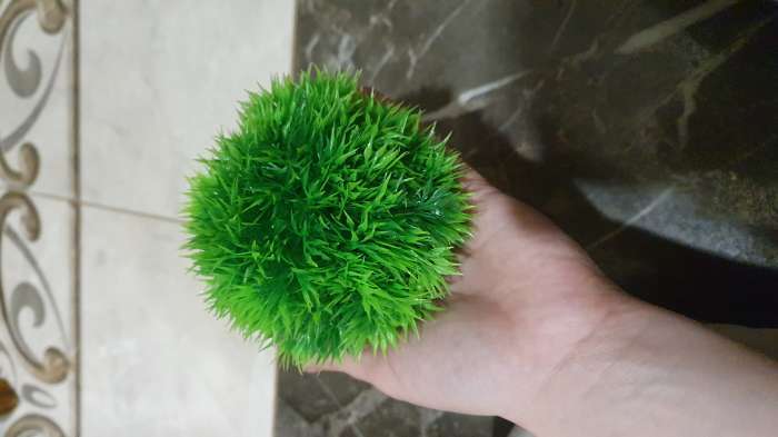 Фотография покупателя товара Растение искусственное аквариумное "Шар", с распылителем, 10 х 10 см