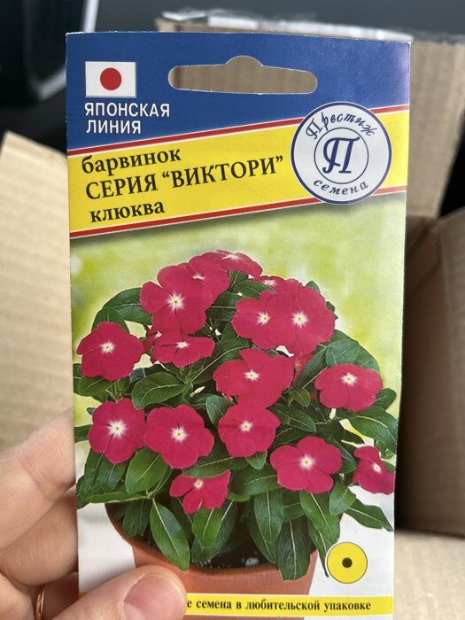 Фотография покупателя товара Семена цветов Барвинок "Виктори" Клюква, О, 10 шт - Фото 4