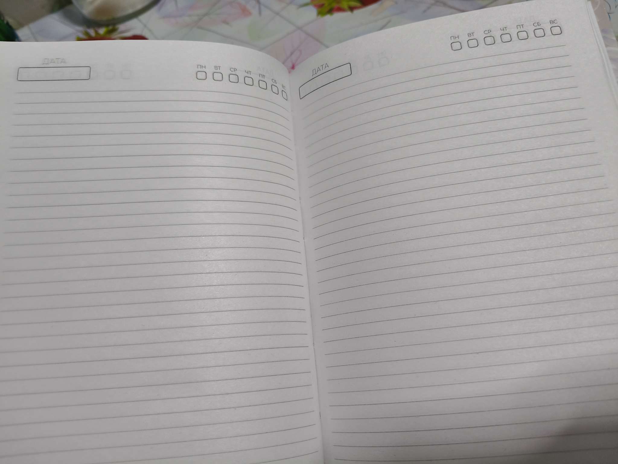 Фотография покупателя товара Ежедневник недатированный Calligrata «ВДОХНОВЕНИЕ», А5, 80 листов, твёрдая обложка, глянцевая ламинация, блок офсет - Фото 1