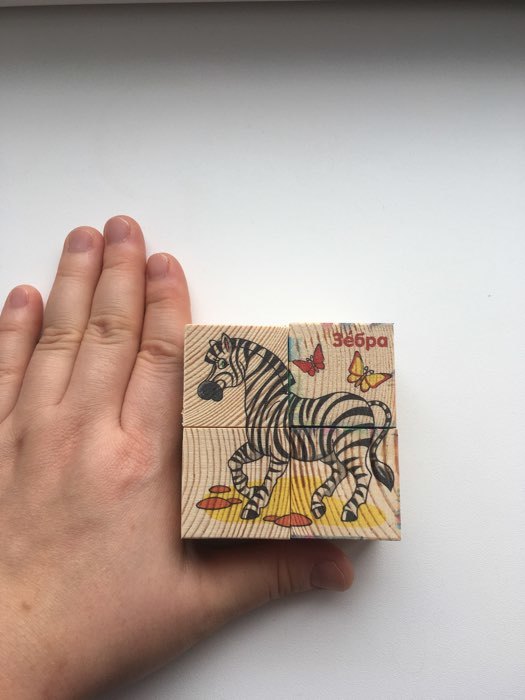 Фотография покупателя товара Кубики деревянные «Животные Африки», набор 4 шт.