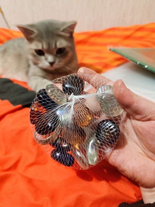 Фотография покупателя товара Декор «Ракушка», 250 г, 16 шт., стекло, МИКС - Фото 1