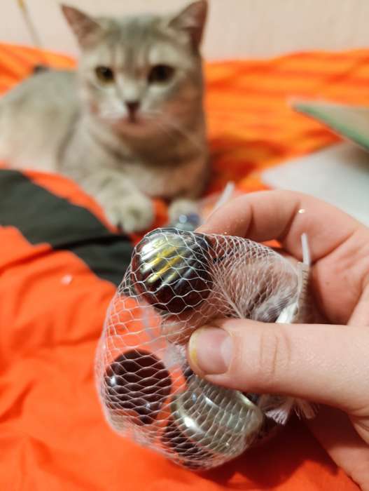 Фотография покупателя товара Декор «Ракушка», 250 г, 16 шт., стекло, МИКС - Фото 2