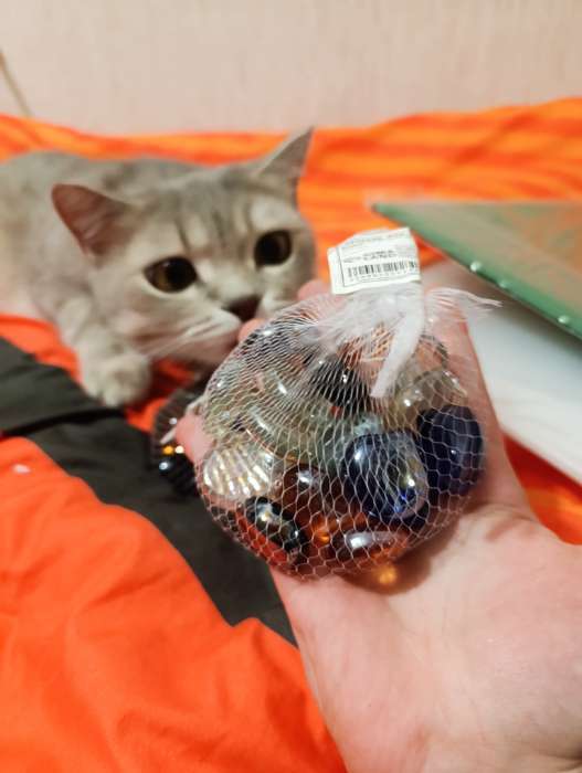 Фотография покупателя товара Декор «Ракушка», 250 г, 16 шт., стекло, МИКС - Фото 4