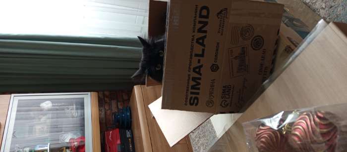 Фотография покупателя товара Ёлочные игрушки «Саманта», шары новогодние, d=8 см, набор 6 шт., золото - Фото 1