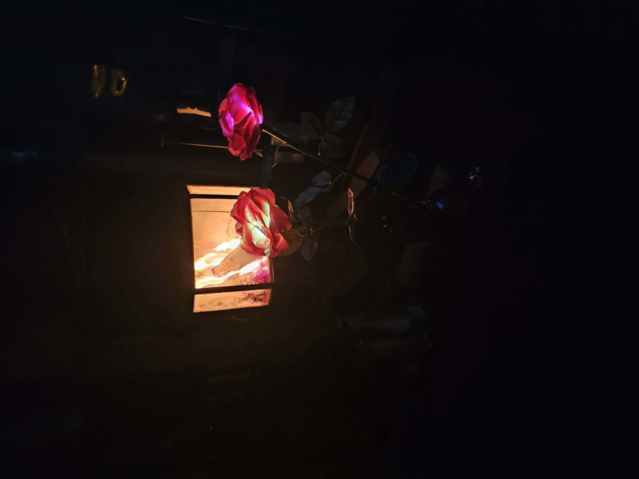 Фотография покупателя товара Садовый светильник «Хризантема белая», уличный, на солнечной батарее, 80 см, 1 LED, свечение белое - Фото 8