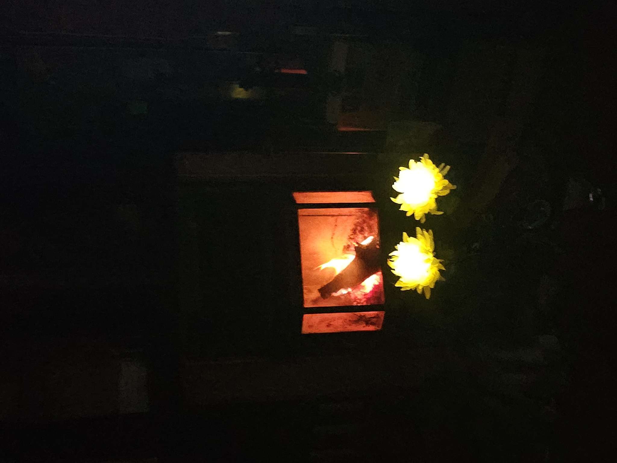 Фотография покупателя товара Садовый светильник «Хризантема белая», уличный, на солнечной батарее, 80 см, 1 LED, свечение белое - Фото 4