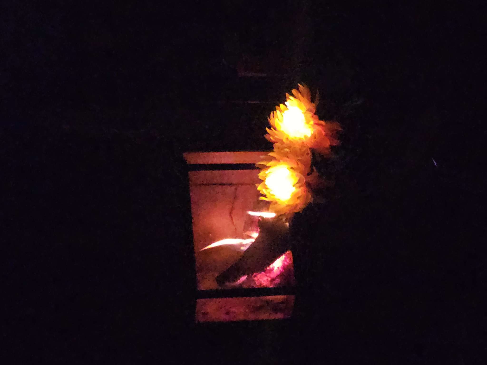 Фотография покупателя товара Садовый светильник «Хризантема белая», уличный, на солнечной батарее, 80 см, 1 LED, свечение белое - Фото 1