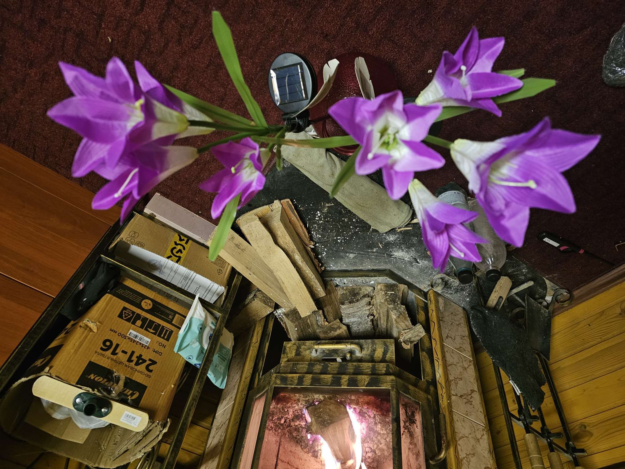 Фотография покупателя товара Садовый светильник «Лилия синяя», уличный, на солнечной батарее, 80 см, 4 LED, свечение мульти - Фото 1