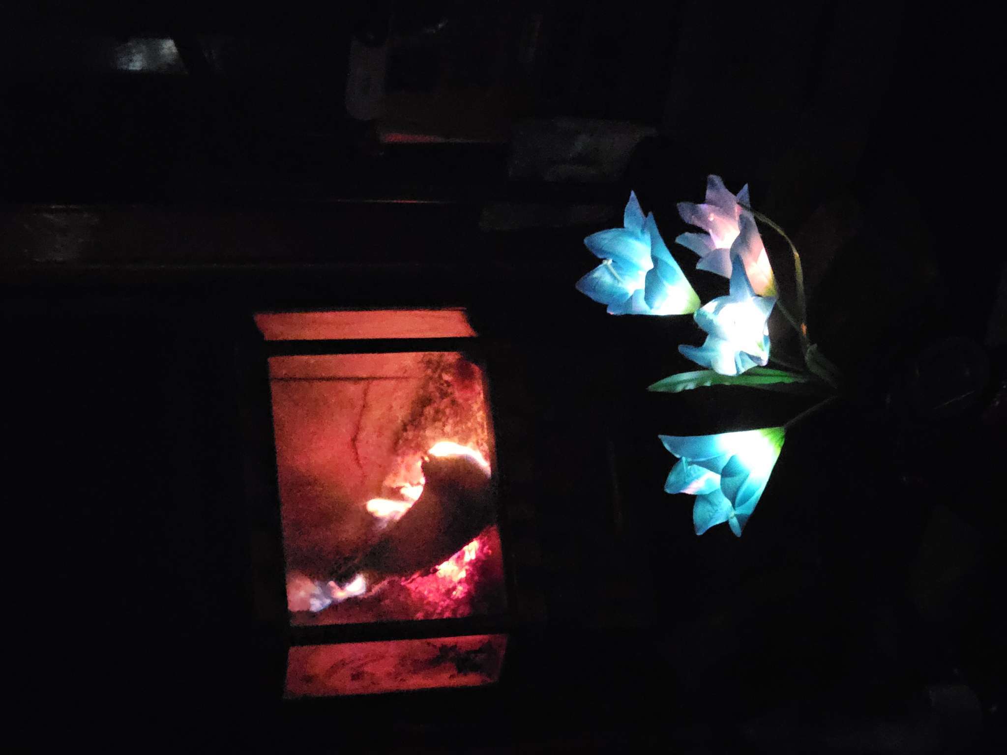 Фотография покупателя товара Садовый светильник «Лилия синяя», уличный, на солнечной батарее, 80 см, 4 LED, свечение мульти - Фото 7