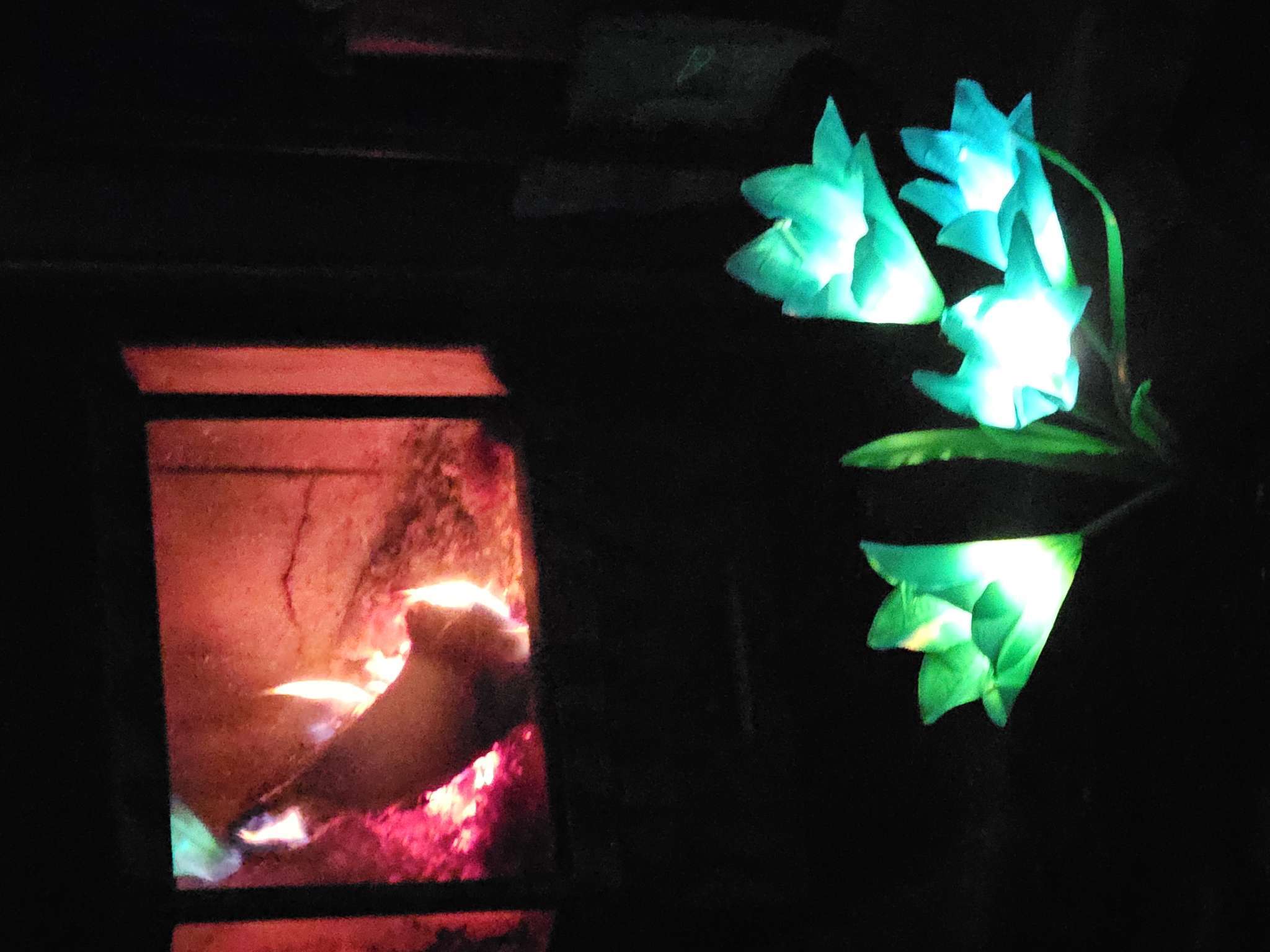 Фотография покупателя товара Садовый светильник «Лилия синяя», уличный, на солнечной батарее, 80 см, 4 LED, свечение мульти - Фото 10