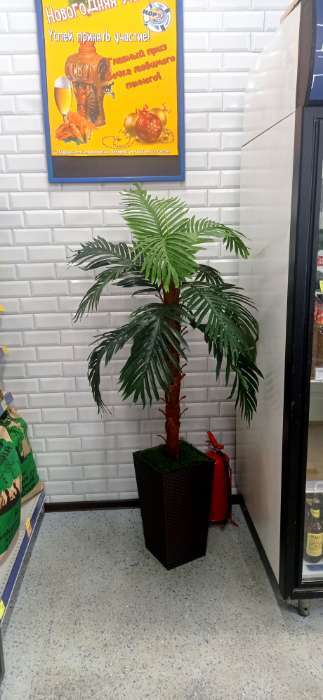 Фотография покупателя товара Дерево искусственное "Пальма" 140 см - Фото 7