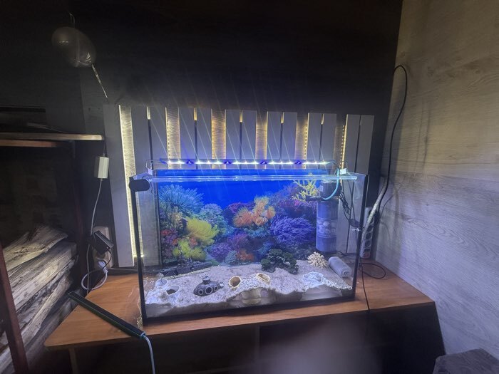 Фотография покупателя товара Аквариум Прямоугольный «Атолл» без крышки, 100 л, 80×25×50 см - Фото 1