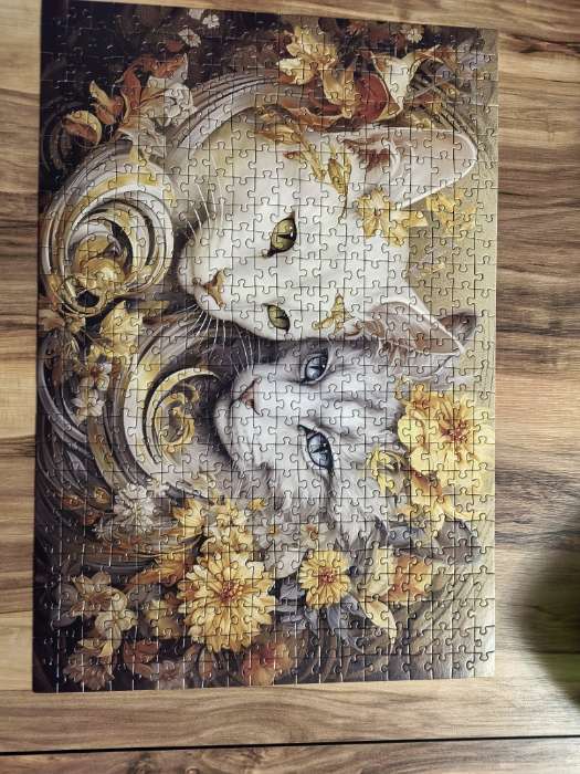 Фотография покупателя товара Пазл «Кошачий мир», 500 деталей - Фото 1