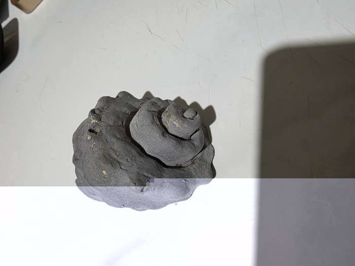 Фотография покупателя товара Молд для заливки 3D «Ракушка», силикон, 8.5×6×4.1 см, розовый - Фото 3