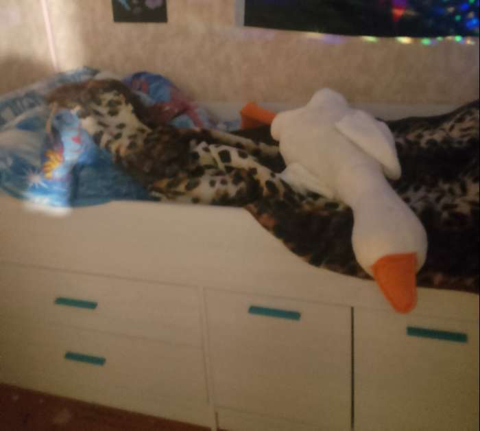 Фотография покупателя товара Кровать детская «Каприз 16», с ящиками, с тумбой, 1640×842×800 мм, цвет анкор/белый - Фото 1