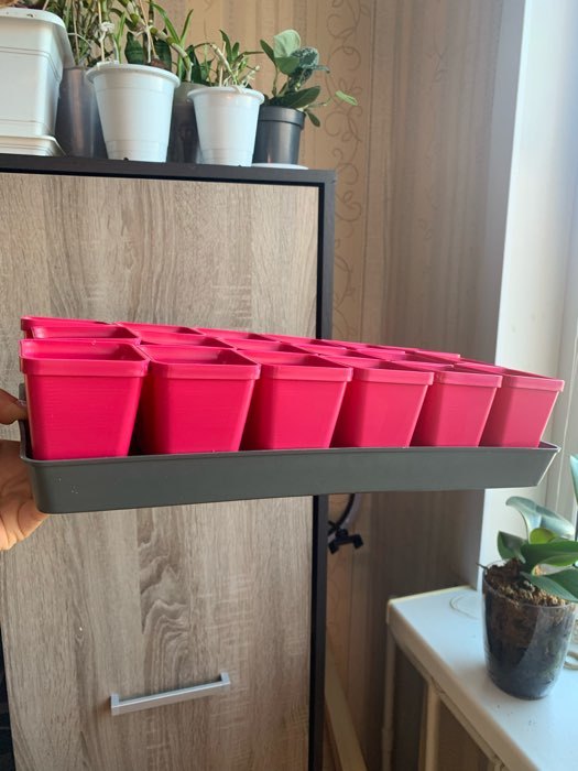 Фотография покупателя товара Набор для рассады: стаканы по 200 мл (18 шт.), поддон 36,5 × 17 см, цвет МИКС, Greengo