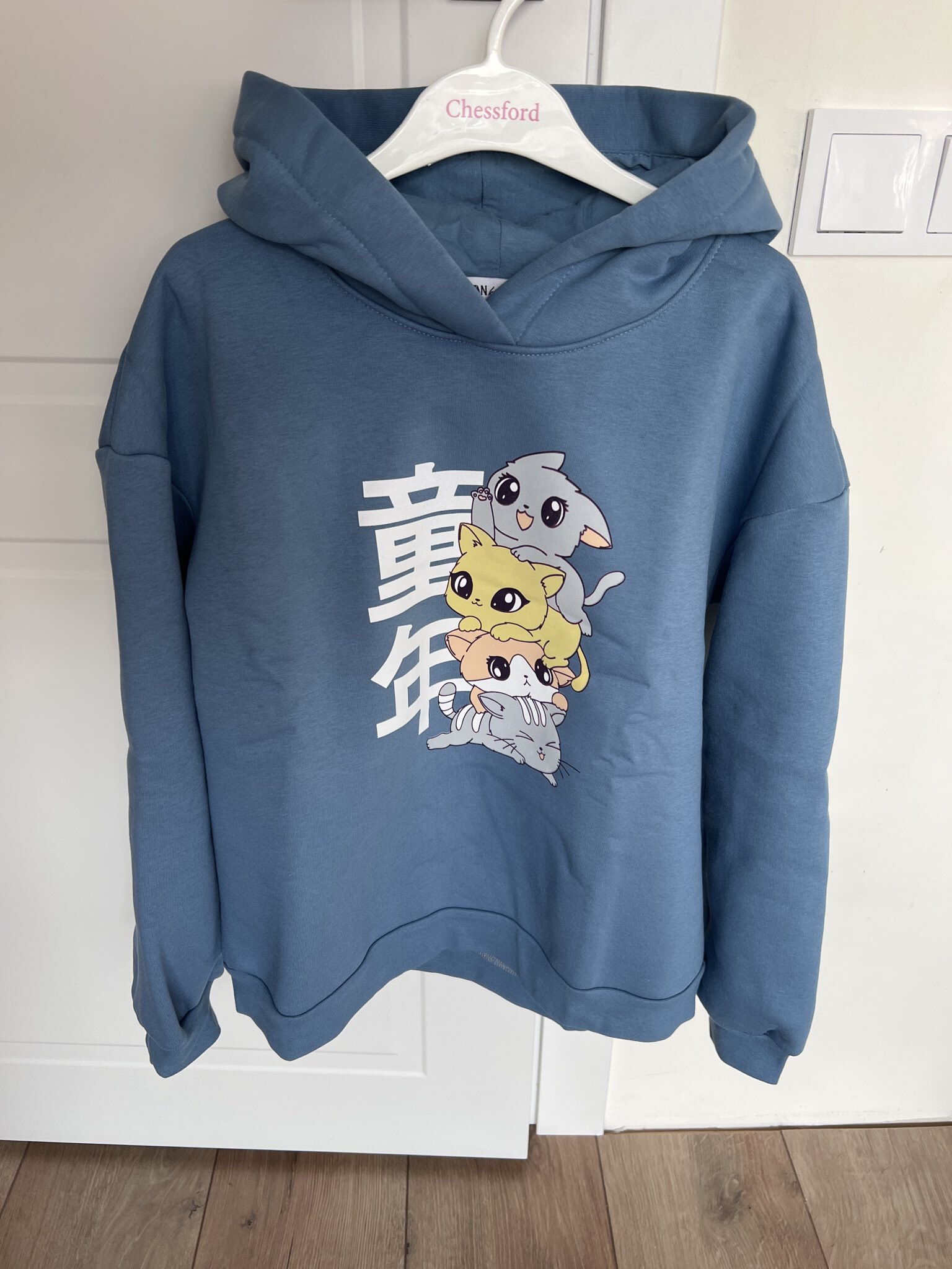 Фотография покупателя товара Толстовка детская с начёсом KAFTAN р.34 (122-128), голубой - Фото 1