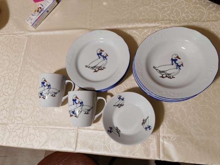 Фотография покупателя товара Набор фарфоровых тарелок Добрушский завод «Гуси», 12 предметов: 6 супниц 350 мл, 6 плоских тарелок d=20 см, рисунок микс - Фото 1