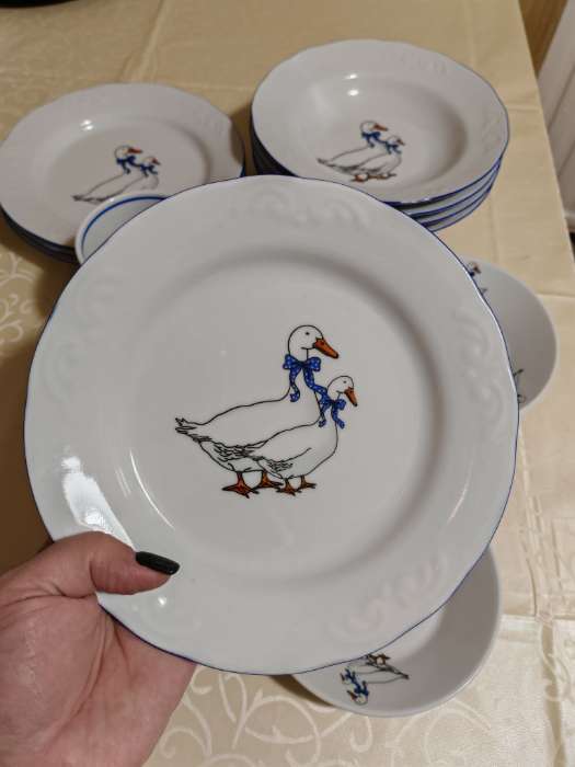 Фотография покупателя товара Набор фарфоровых тарелок Добрушский завод «Гуси», 12 предметов: 6 супниц 350 мл, 6 плоских тарелок d=20 см, рисунок микс - Фото 2