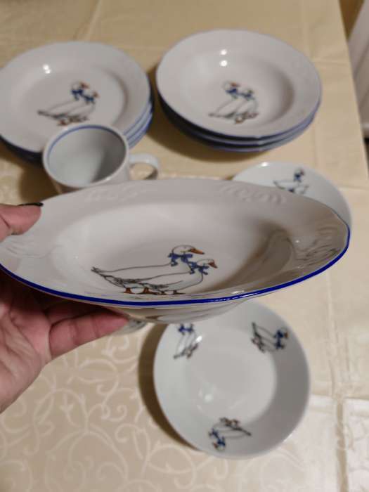 Фотография покупателя товара Набор фарфоровых тарелок Добрушский завод «Гуси», 12 предметов: 6 супниц 350 мл, 6 плоских тарелок d=20 см, рисунок микс - Фото 3