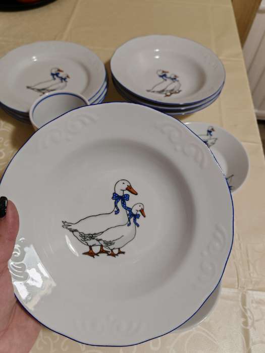 Фотография покупателя товара Набор фарфоровых тарелок Добрушский завод «Гуси», 12 предметов: 6 супниц 350 мл, 6 плоских тарелок d=20 см, рисунок микс - Фото 4