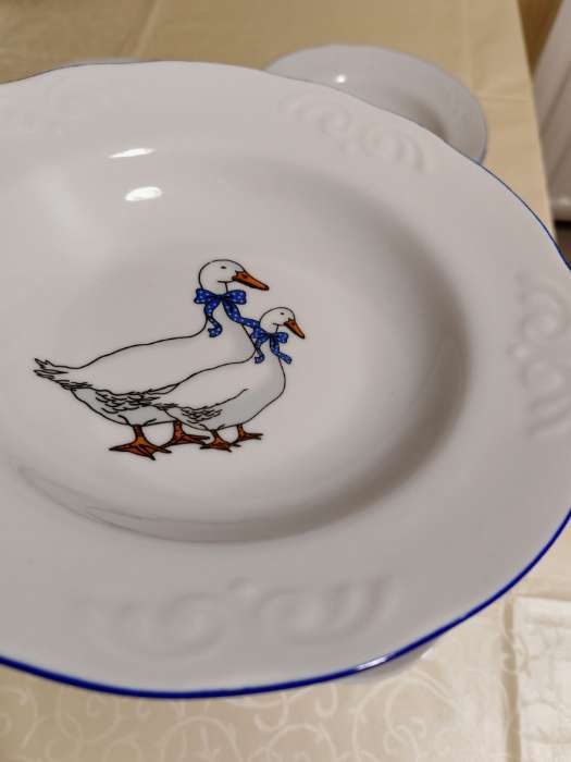 Фотография покупателя товара Набор фарфоровых тарелок Добрушский завод «Гуси», 12 предметов: 6 супниц 350 мл, 6 плоских тарелок d=20 см, рисунок микс - Фото 6