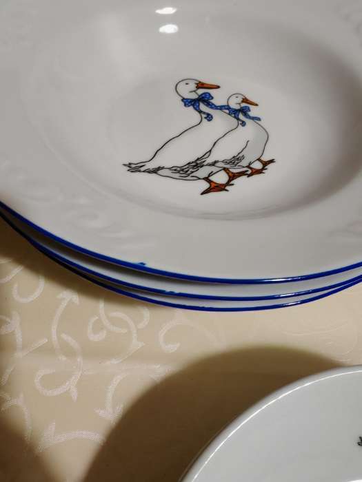 Фотография покупателя товара Набор фарфоровых тарелок Добрушский завод «Гуси», 12 предметов: 6 супниц 350 мл, 6 плоских тарелок d=20 см, рисунок микс - Фото 7