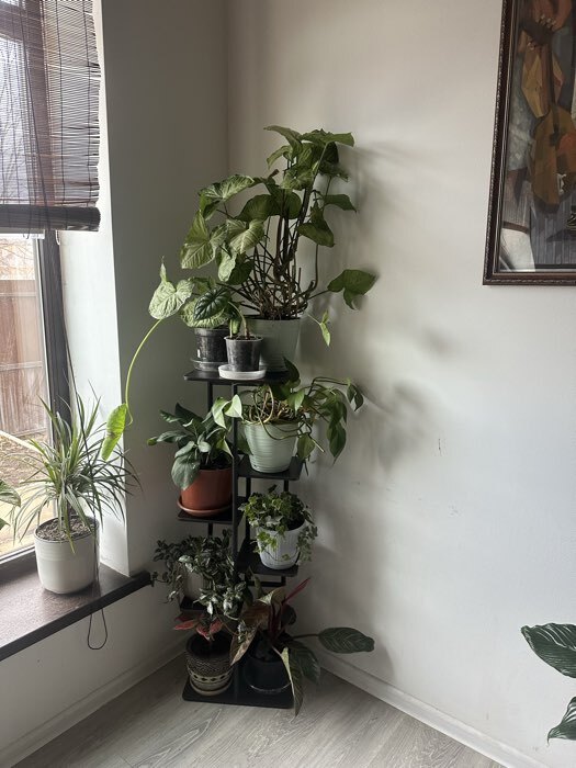 Фотография покупателя товара Подставка для цветов Greengo, 5 полок, 36×23×94 см, напольная, каркас металл, полки МДФ, белая - Фото 1