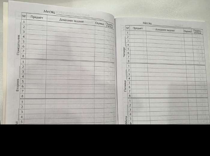 Фотография покупателя товара Дневник в мягкой обложке, для 1-11 классов, 40 листов, Calligrata «Собачка. Арт», МИКС - Фото 2