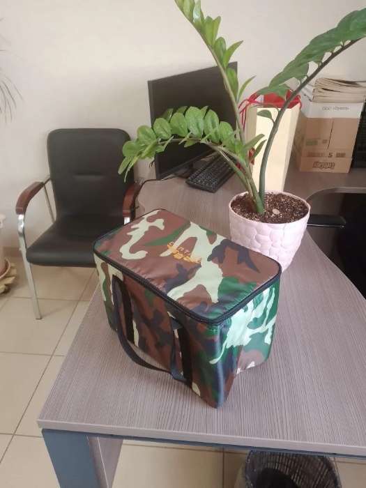 Фотография покупателя товара Термосумка Cartage Т-15, серая, 10 л, 26×19×19 см - Фото 1